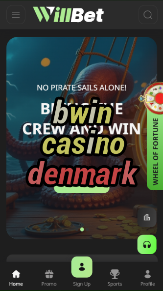 bwin casino denmark-asdasdzhjkds.com